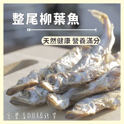 腹嗑_整尾柳葉魚 50g